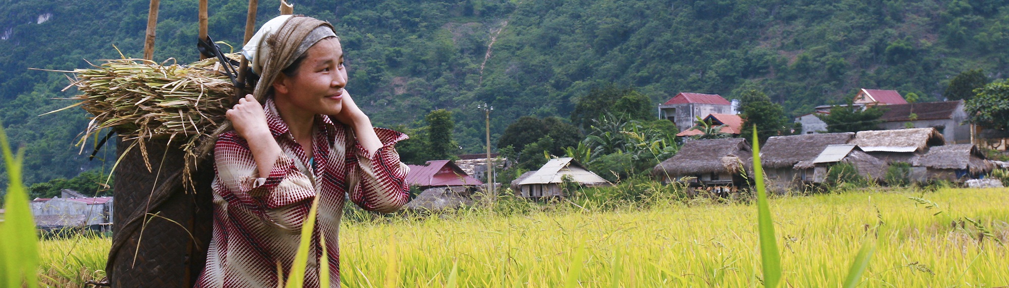 Trekking & Culture Tour of Kandy Sri Lanka - 4 days